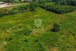 Zemljiste, Novigrad, Dajla, prodaja, 6630000 €, 30218 m2