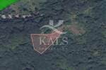 Zemljiste, Slunj, Veljun, prodaja, 304470 €, 10149 m2
