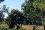 Zemljiste, Medulin, Vrčevan, prodaja, 228000 €, 0 m2