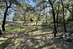 Zemljiste, Mošćenička Draga, Martina, prodaja, 245000 €, 807 m2