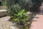 Dvosoban stan, Crikvenica, prodaja, 188000 €, 35 m2