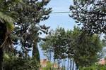 Kuca, Lovran, prodaja, 900000 €, 234 m2