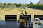 ISTRA, PULA - Top investicija: Kuća i 4200m² terena