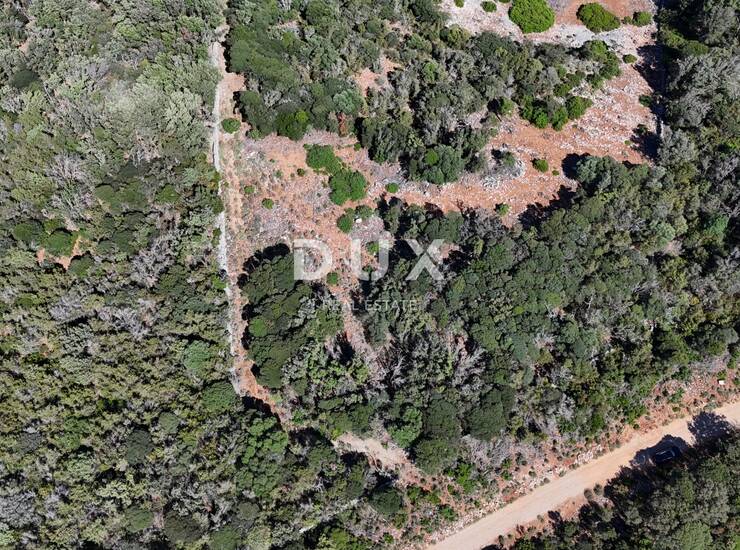 Cres, Punta Križa, poljoprivredno zemljište, 58500 m2