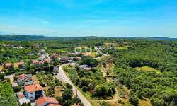 Zemljiste, Buje, prodaja, 155000 €, 585 m2