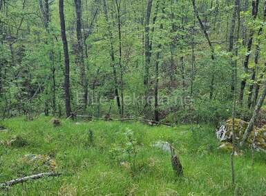 Zemljiste, Matulji, Pasjak, prodaja, 47000 €, 19180 m2