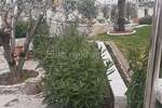 Kuca, Rovinj, Rovinjsko Selo, prodaja, 950000 €, 393 m2