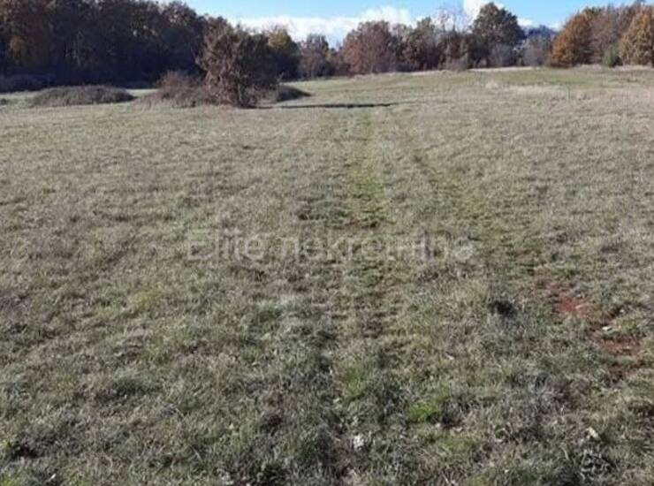 Istra, Barat - prodaja poljoprivrednog zemljišta, 174000m2! — fotografija 5