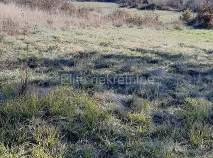Istra, Barat - prodaja poljoprivrednog zemljišta, 174000m2! — fotografija 6