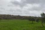 Zemljiste, Kanfanar, Jural, prodaja, 120000 €, 13301 m2