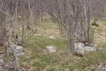 Zemljiste, Jelenje, Podhum, prodaja, 51500 €, 6400 m2