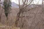 Zemljiste, Jelenje, Podhum, prodaja, 51500 €, 6400 m2