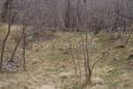 Zemljiste, Jelenje, Podhum, prodaja, 51500 €, 6400 m2