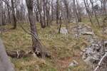 Zemljiste, Jelenje, Podhum, prodaja, 51500 €, 6400 m2