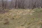 Zemljiste, Jelenje, Podhum, prodaja, 51500 €, 6400 m2