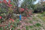 Zemljiste, Rijeka, Sjever, prodaja, 350000 €, 8522 m2
