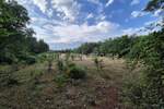 Zemljiste, Kaštelir-Labinci, Kaštelir, prodaja, 156767 €, 24118 m2