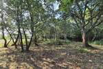 Zemljiste, Kaštelir-Labinci, Kaštelir, prodaja, 156767 €, 24118 m2