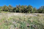 Čavle - prodaja građevinskog zemljišta 5292m2!