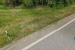 Istra, Kanfanar - Prodaja poslovnog industrijskog zemljišta, autocesta u b — fotografija 4