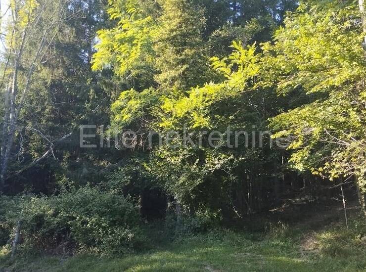 Klana - Prodaje se šumsko zemljište površine 1.908 m2 s ogromnim potenci