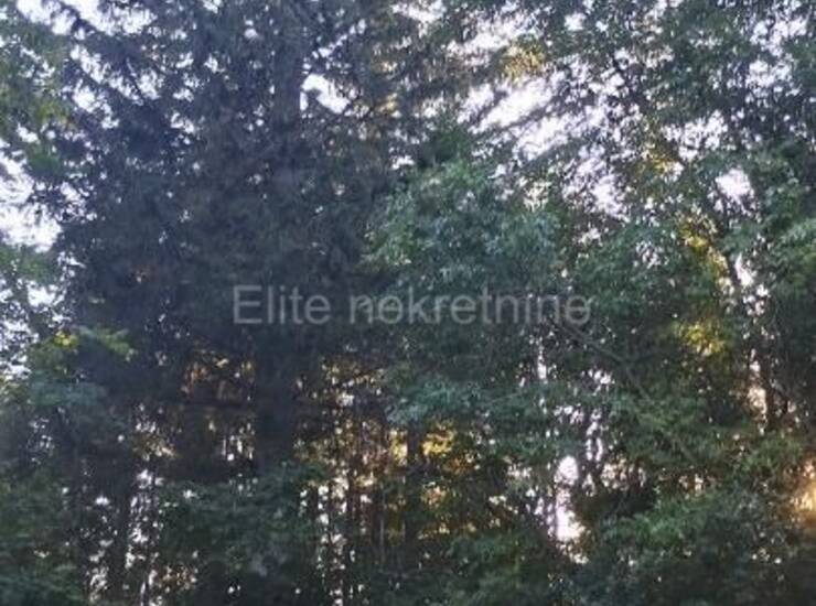 Klana - Prodaje se šumsko zemljište površine 1.908 m2 s ogromnim potenci — fotografija 7