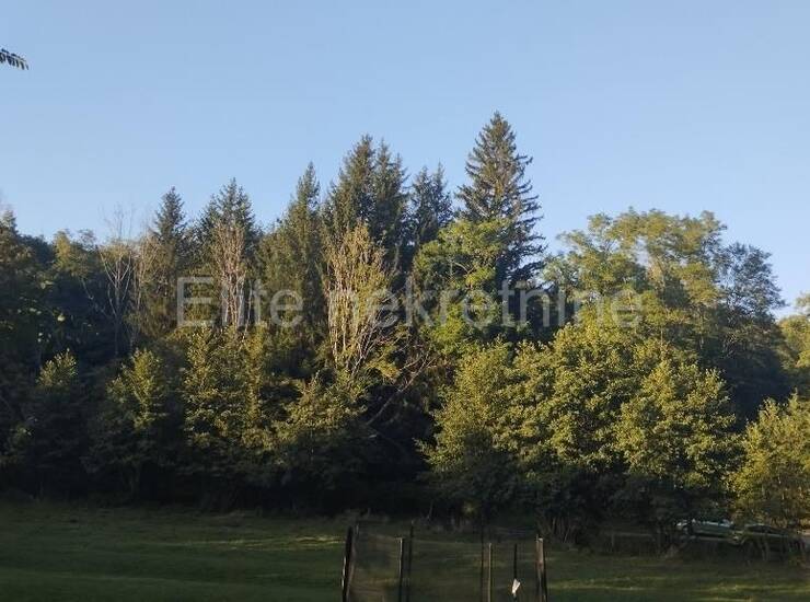 Klana - Prodaje se šumsko zemljište površine 1.908 m2 s ogromnim potenci — fotografija 8