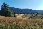 Mrkopalj, Begovo Razdolje - prodaja građevinskog zemljišta, 4920m2!