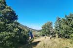 Mrkopalj, Begovo Razdolje - prodaja građevinskog zemljišta, 4920m2!