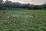 Zemljiste, Buzet, Ročko Polje, prodaja, 49500 €, 1784 m2