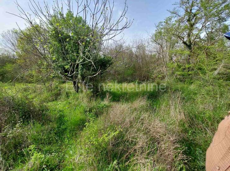 NA PRODAJU: Poljoprivredno zemljište 1.255 m² – Milohnići, otok Krk