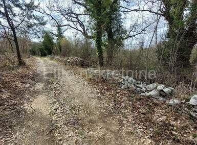 Zemljiste, Tinjan, Kringa, prodaja, 103000 €, 28300 m2