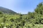 Zemljiste, Ližnjan, Valtura, prodaja, 60000 €, 14500 m2