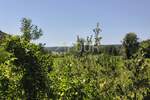 Zemljiste, Ližnjan, Valtura, prodaja, 60000 €, 14500 m2