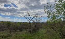 Zemljiste, Bakar, Krasica, prodaja, 134000 €, 973 m2