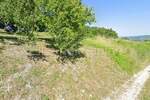 Prodaja Mješovitog Zemljišta u Okolici Motovuna – 4.646 m² s Pogledom 