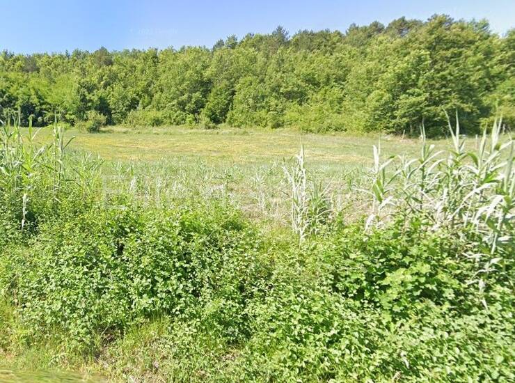 Prodaja Mješovitog Zemljišta u Okolici Motovuna – 4.646 m² s Pogledom  — fotografija 6