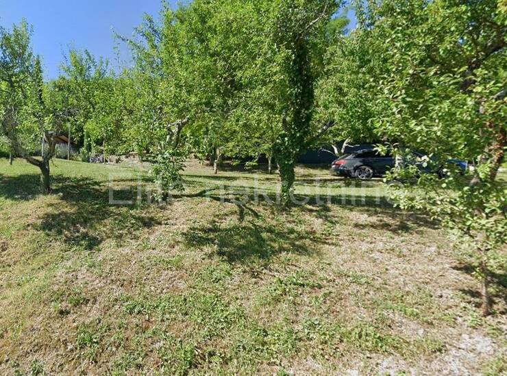 Prodaja Mješovitog Zemljišta u Okolici Motovuna – 4.646 m² s Pogledom  — fotografija 7