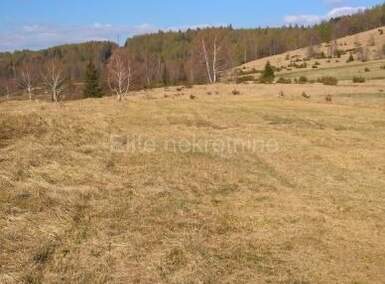Zemljiste, Ravna Gora, Stari Laz, prodaja, 46000 €, 34413 m2