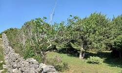 Zemljiste, Cres, prodaja, 103000 €, 43030 m2