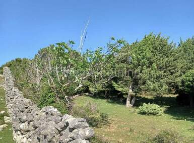 Zemljiste, Cres, prodaja, 103000 €, 43030 m2