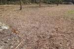 Istra, Marčana - atraktivno građevinsko zemljište, 2000 m2, PRILIKA