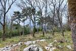 Ičići - prodaja poljoprivrednog zemljišta, 13.419 m2 !
