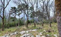 Zemljiste, Opatija, Ičići, prodaja, 250000 €, 13419 m2