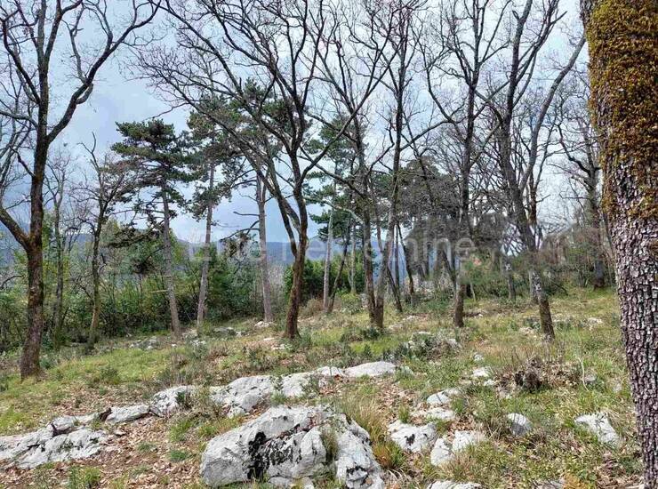 Ičići - prodaja poljoprivrednog zemljišta, 13.419 m2 !