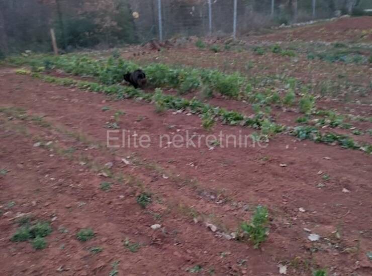 Ližnjan - prodaja poljoprivrednog zemljišta, 756 m2! — fotografija 17