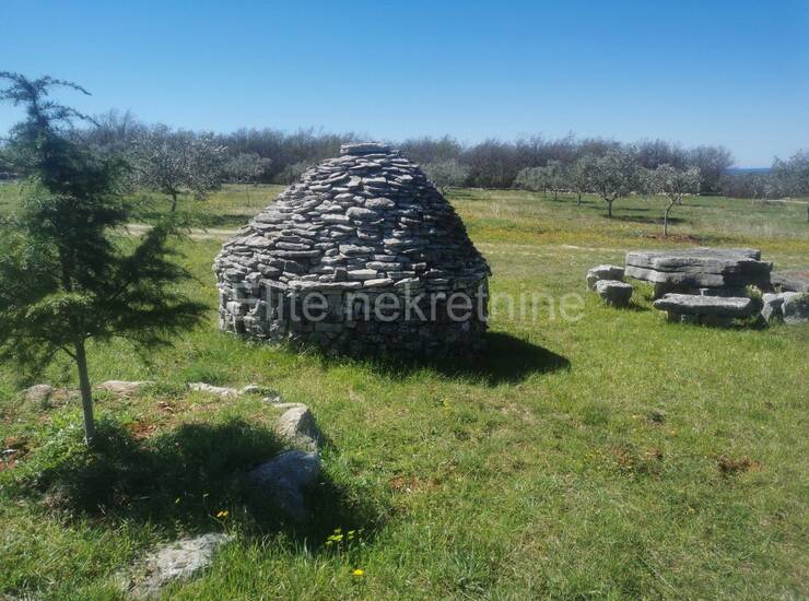 Vodnjan - Prekrasno uređeno zemljište od 13.840m2 s 200 maslina!