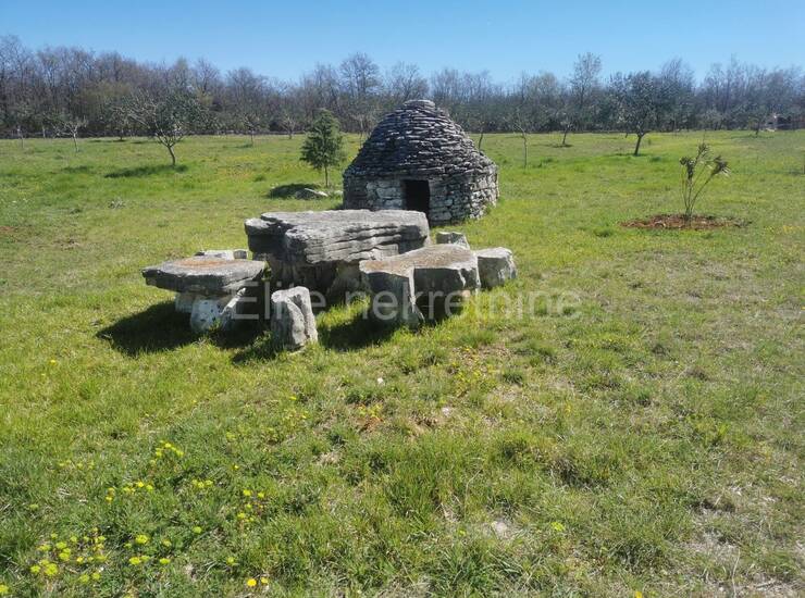 Vodnjan - Prekrasno uređeno zemljište od 13.840m2 s 200 maslina! — fotografija 8
