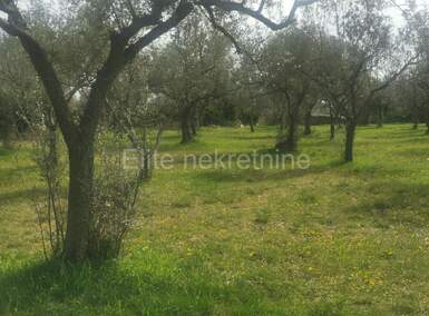 Zemljiste, Fažana, prodaja, 78500 €, 1939 m2