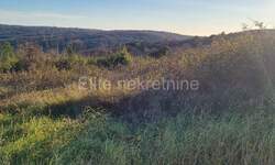 Zemljiste, Barban, Puntera, prodaja, 104000 €, 1049 m2
